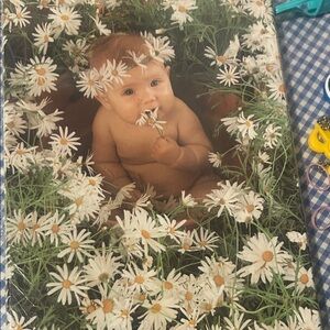 Anne Geddes Daisy Baby Art Print